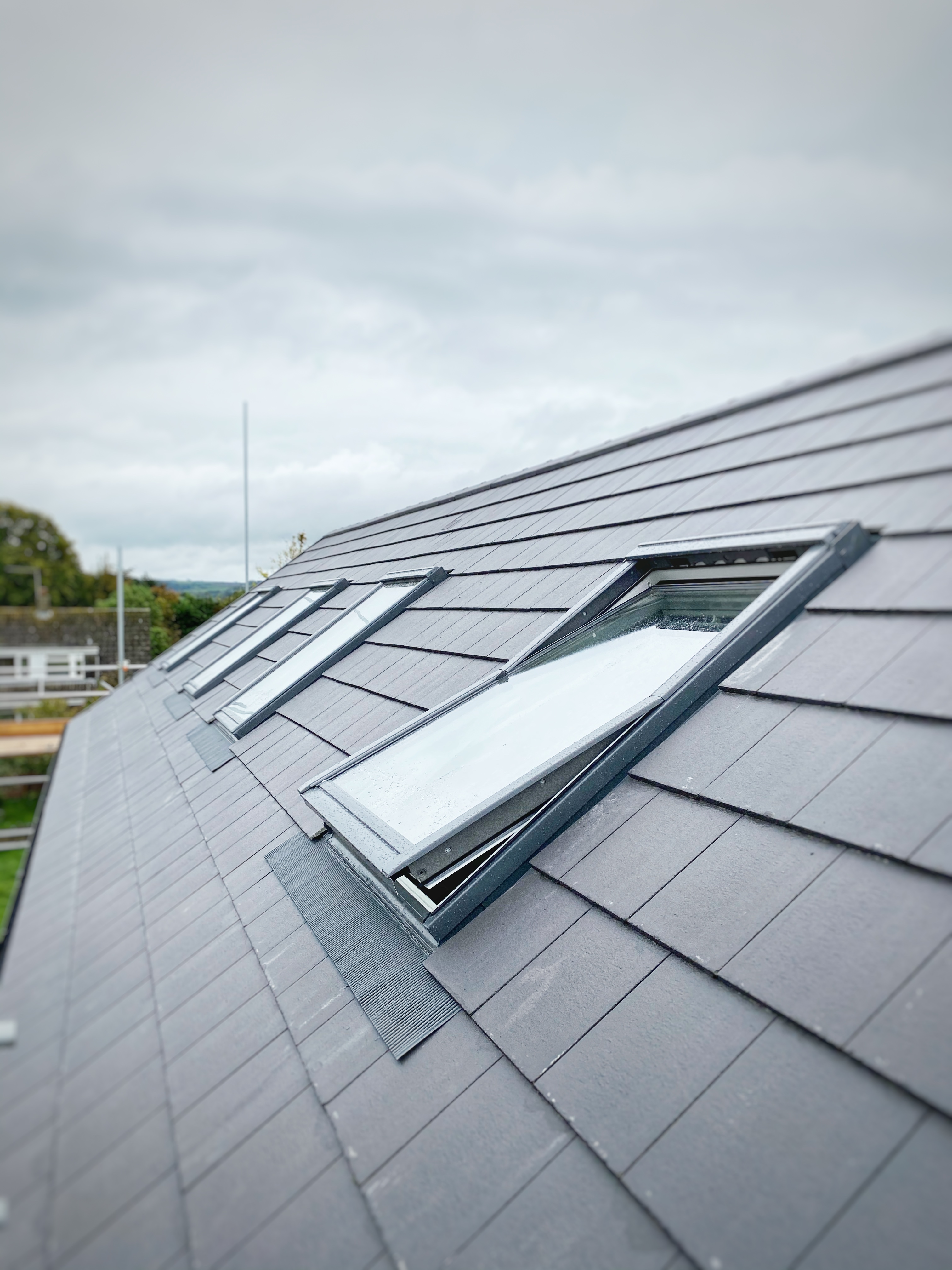 tiled roof with velux windows